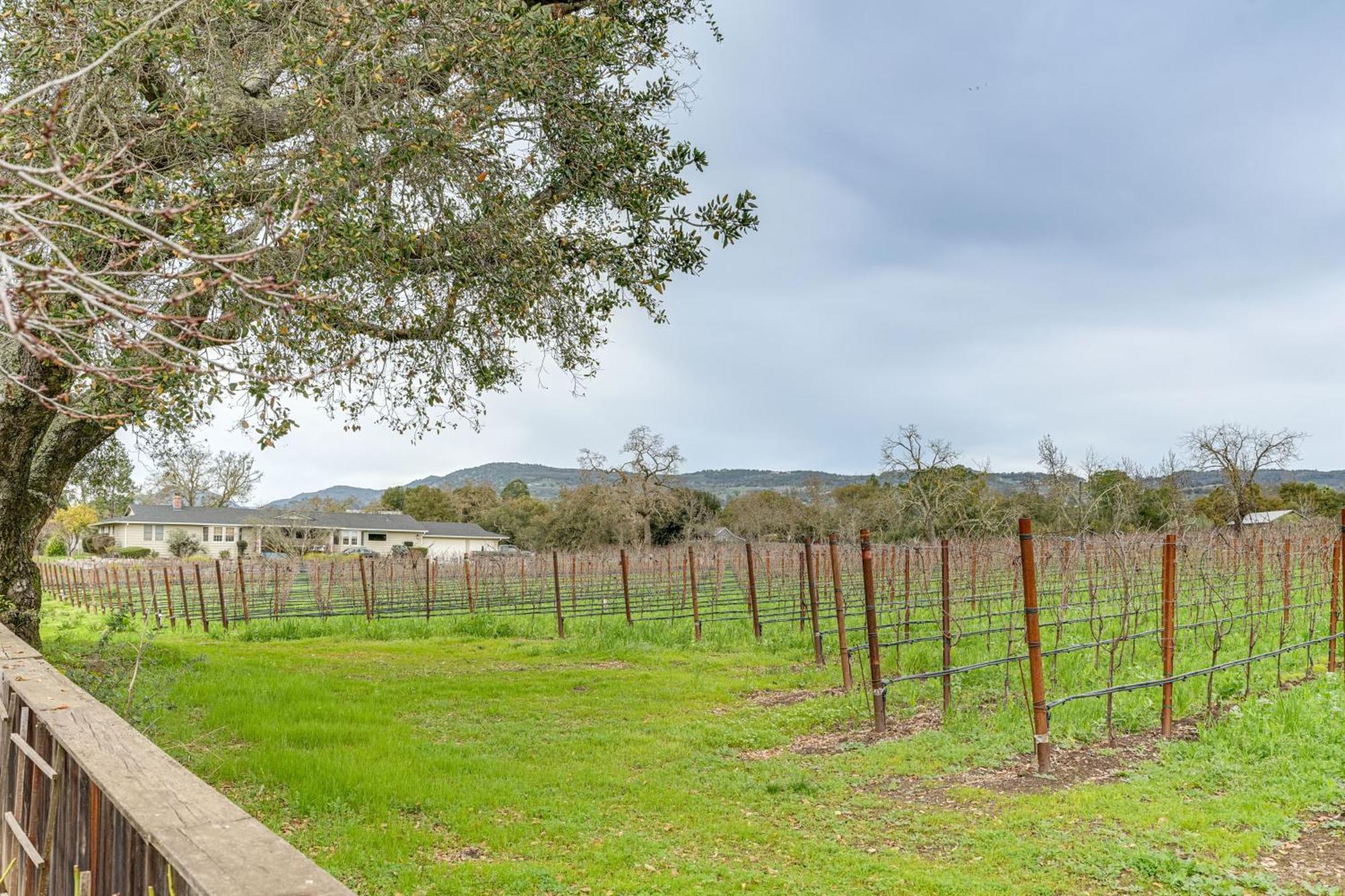 Napa Valley Getaway With Backyard Vineyard Views! Villa Exterior photo